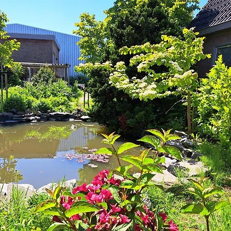Luxe Ruime Studio Op Unieke, Rustige Locatie Dokkum Kültér fotó